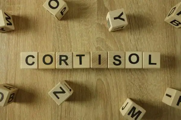 The Hidden Connection: How Stress Shapes Your Fitness and Body Composition 2 Image saying "Cortisol" and how stress Scotland impacts your wellbeing and bodies shape